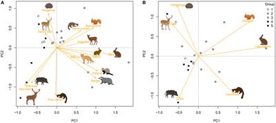 Quantifying the Availability of Vertebrate Hosts to Ticks: A Camera-Trapping Approach